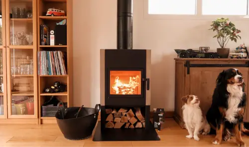 deux chiens devant un poêle à bois